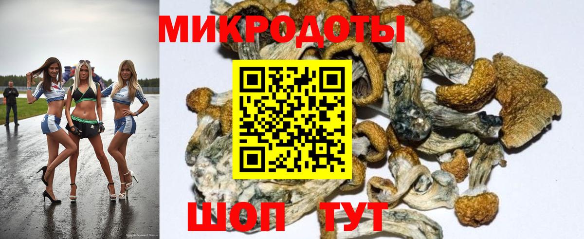 Псилоцибиновые грибы MAGIC MUSHROOMS Коммунар